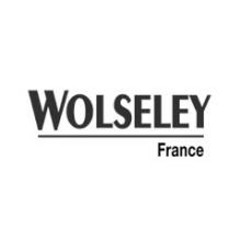 Groupe wolseley 